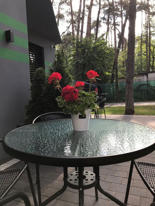 Noclegi Apartamenty Wesoła w Dolinie Baryczy