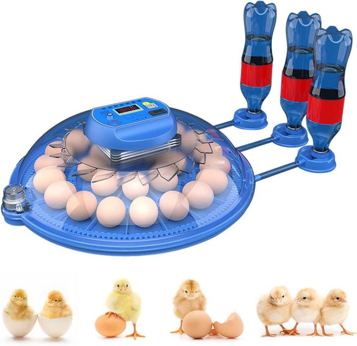 Chocadeira / Incubadora de 33 de Pássaros Ovos NOVA - Disponibilidade