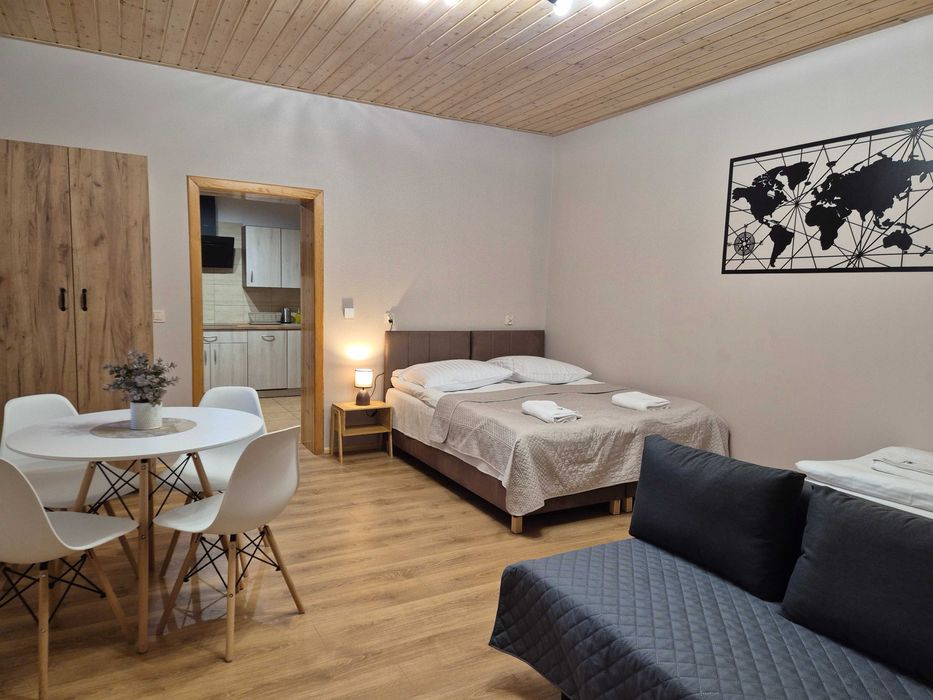 Apartament Pod Modrzewiem