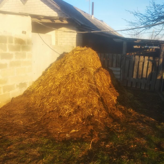 Продажа гною коровячього