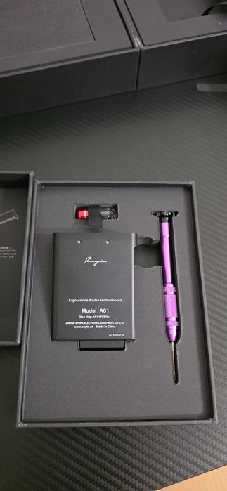 Плеер Cayin N6 mkII cо сменными модулями А01 и R01