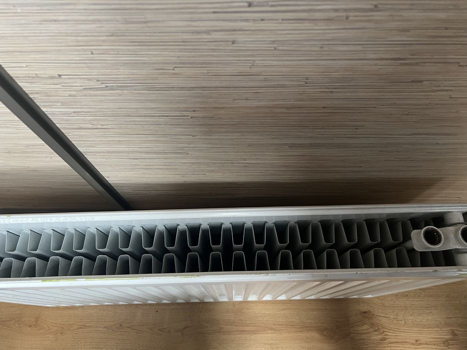 Kaloryfer Rettig Typ 22 10x450x800