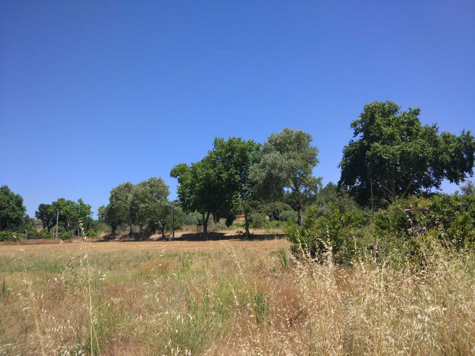 Quinta em terreno rústico 5 ha Belmonte Gare