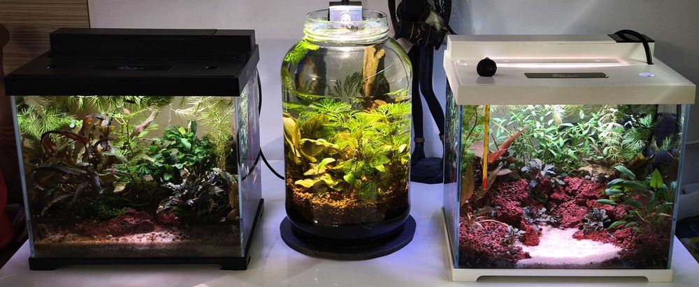 Akwarium 7 litrów kompletny zestaw dla krewetek krewetkarium