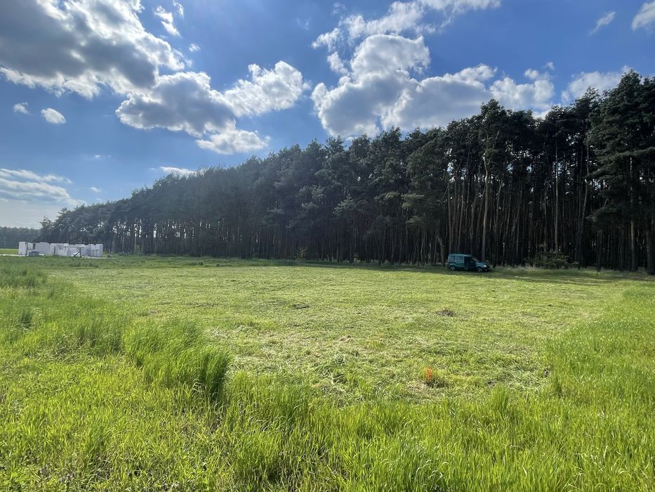 Koszenie trawników, ogródków, terenów zielonych