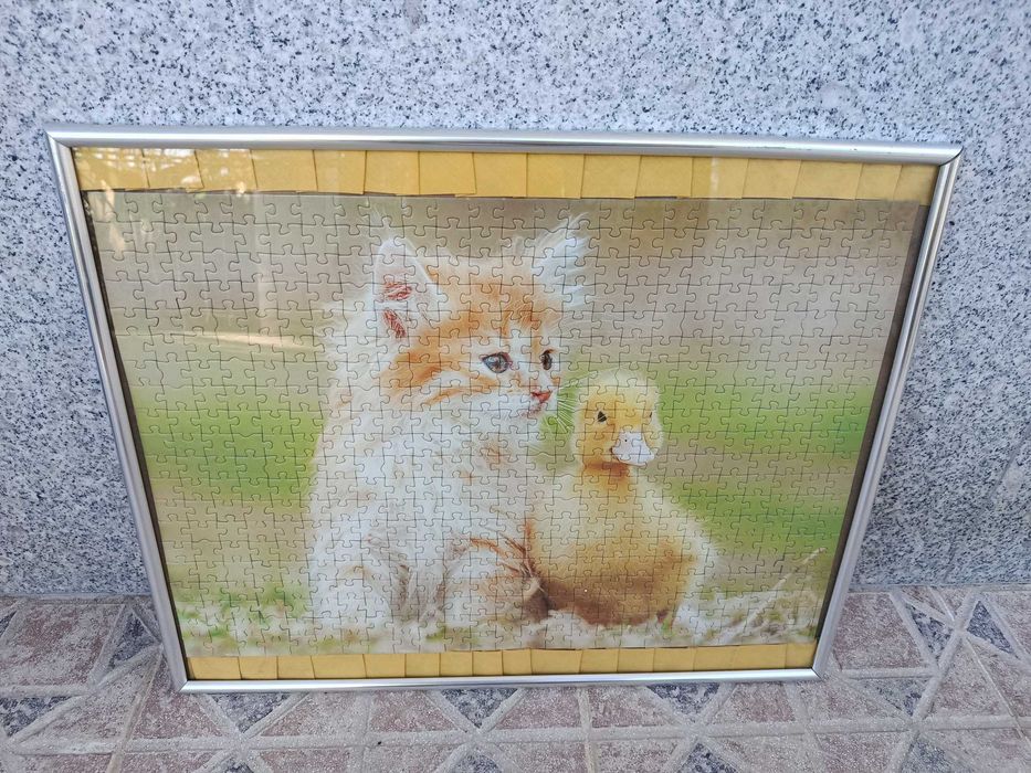 Puzzle quadro livro didático RUCCA e os animais de estimação