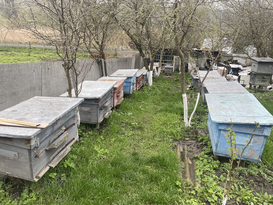 Продам пусті вулики