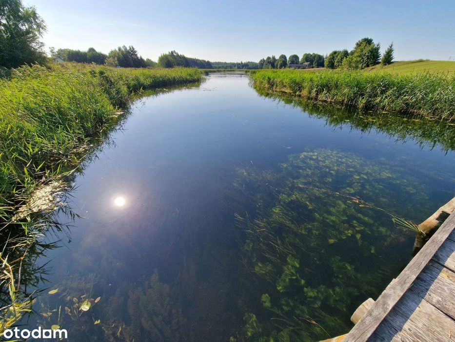 Duża działka z domem i warunkami nad Czarną Hańczą