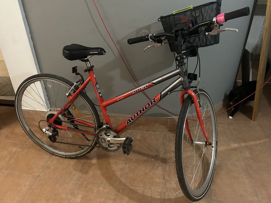 Rower fimy Author linea