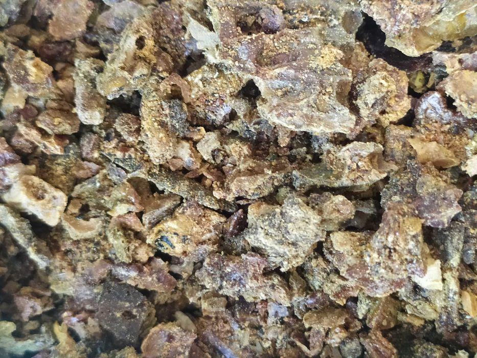 Kit pszczeli 100 gram