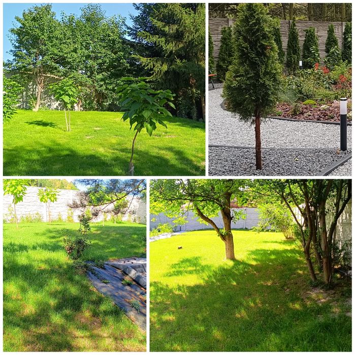 Apartamenty z Górskim Klimatem