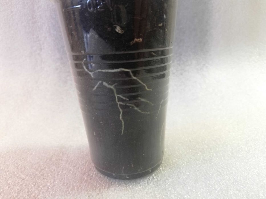 Hoya hoja krimson queen - ukorzeniona sadzonka