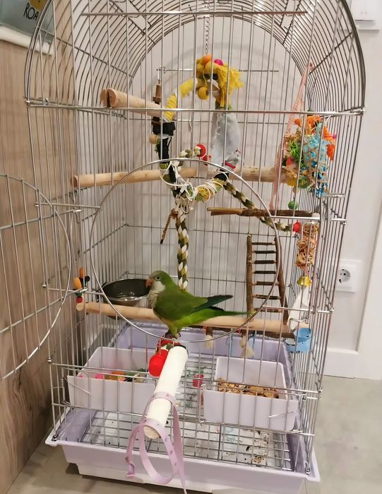 Клетка НОВАЯ 50х50х100 см