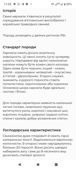 Еко--Ферма  пропонує поросят породи Кармал