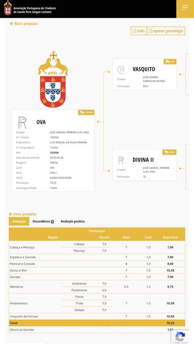 Vendo poldra PSL com 6meses