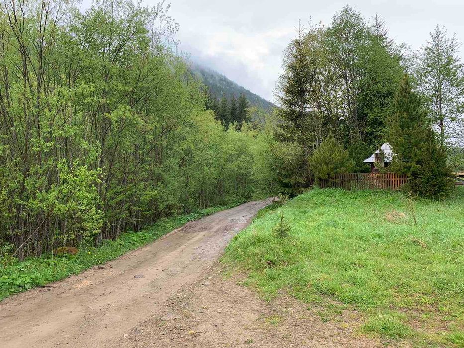 Топова ділянка під відпочинковий бізнес в Карпатах