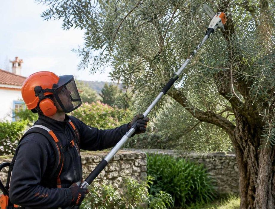 Limpeza de Terrenos e Desmatação | Lisboa e Arredores