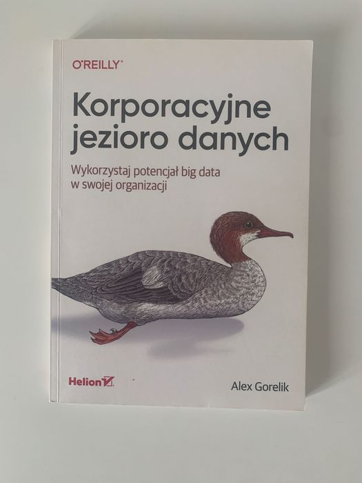 Korporacyjne jezioro danych. Wykorzystaj potencjał big data