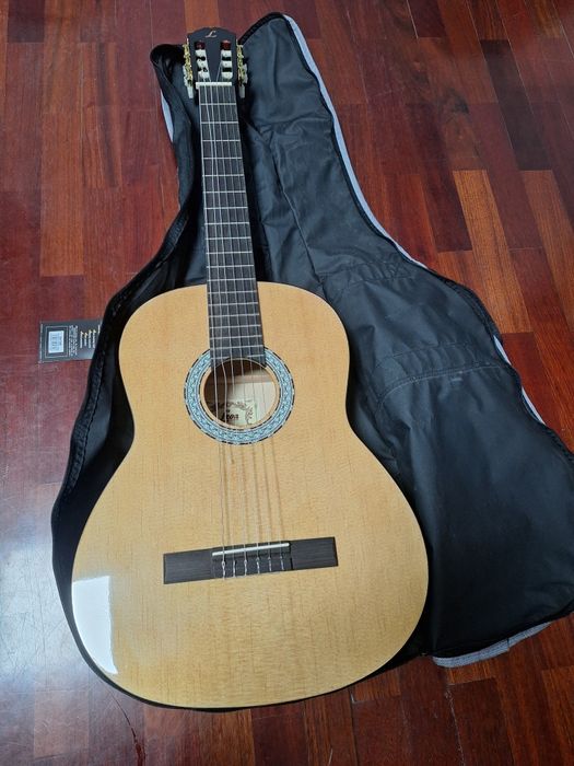 Viola clássica Leon