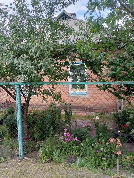 Продам будинок с. Марківка, Полтавський р-н.