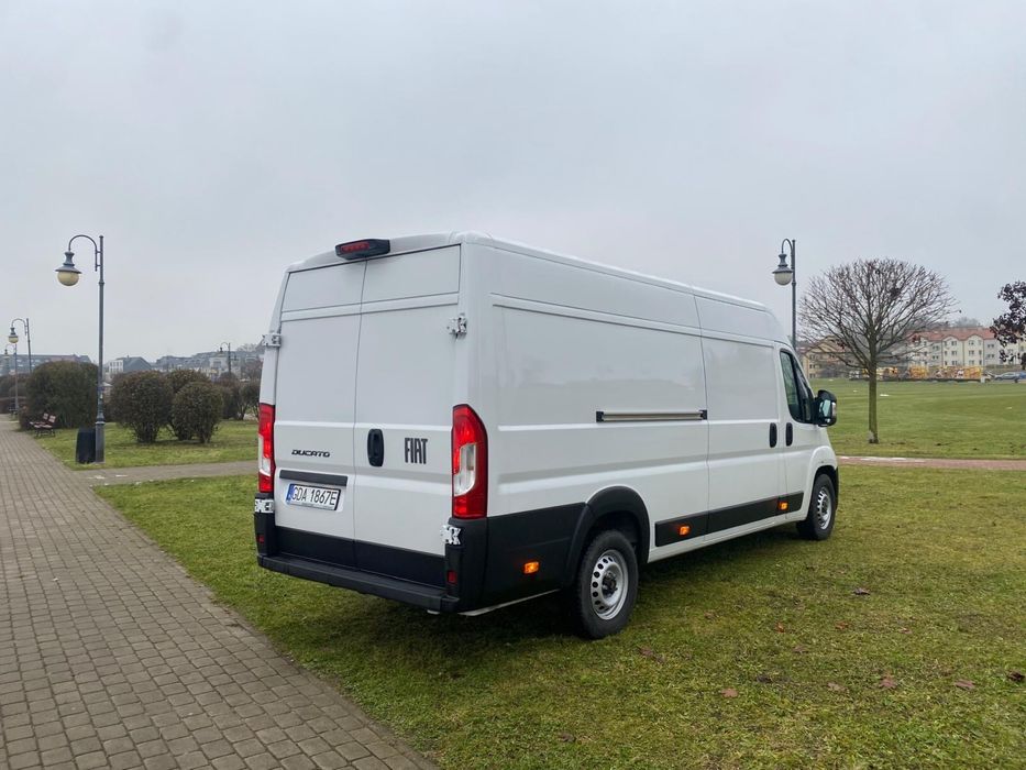 Wynajem bus Fiat Ducato Maxi Malbork,Elblag,Kwidzyn i okolice