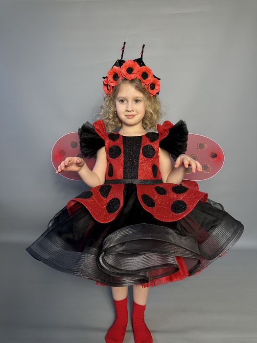 Карнавальний костюм для дітей метелик , жук-сонечко , бджілка, жучок