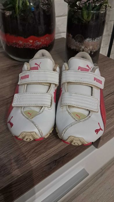 Puma adidasy r. 31