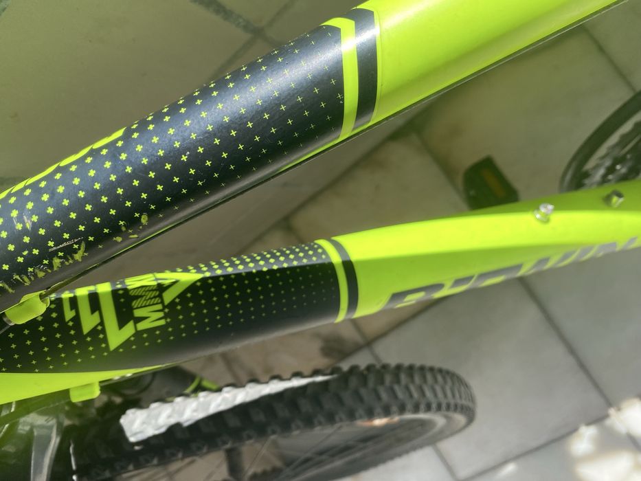 Bicicleta verde florescente