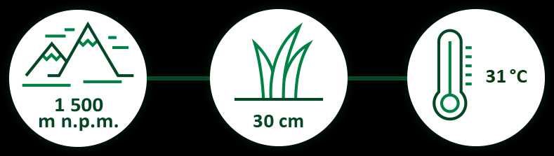 JĘCZMIEŃ BIO Green Ways - op. podróżne 125 g. (25 saszetek x 5 g.)