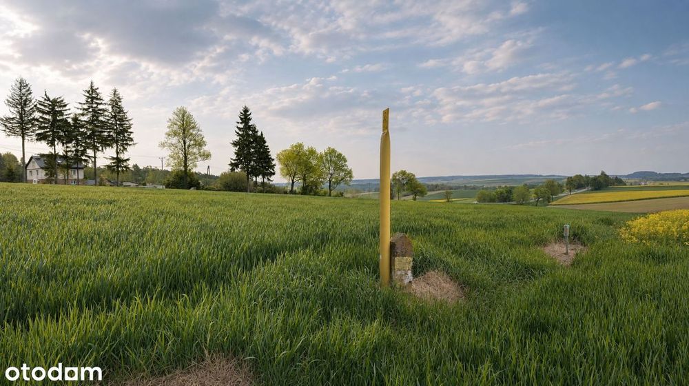 Wspaniała panorama każdego dnia | Działka budowlana 3010 m² Tarnawatka