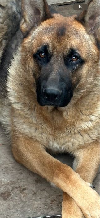 Запрошую на побачення