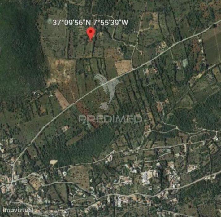 Terreno Rustico em Campina/São Brás de Alportel