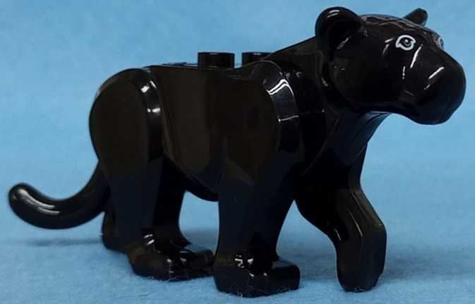 Panther (Animals)64737905513986120