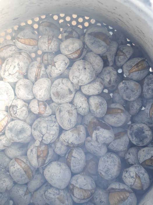 Serviço de Assador de Castanhas