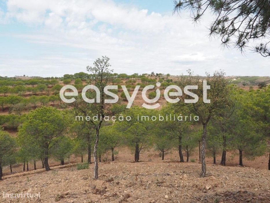 Terreno agrícola com pinheiros, oliveiras e sobreiros em Atalaias