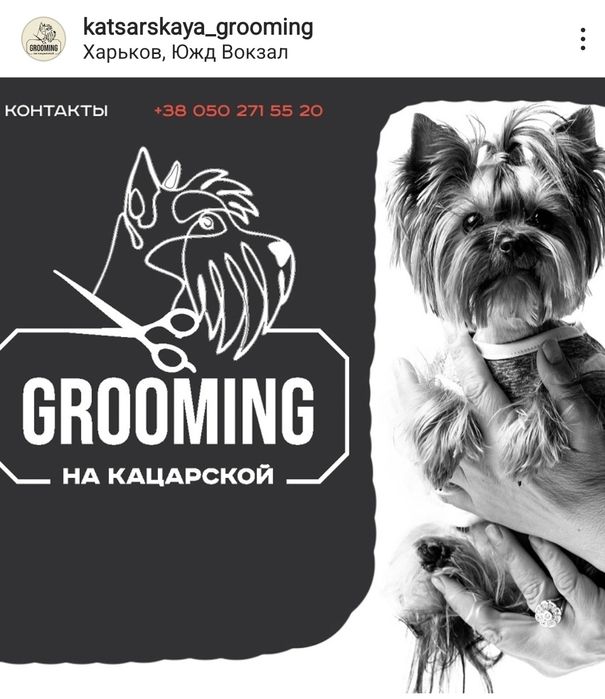 Грумінг собак. Породні стрижки, комплексний догляд.