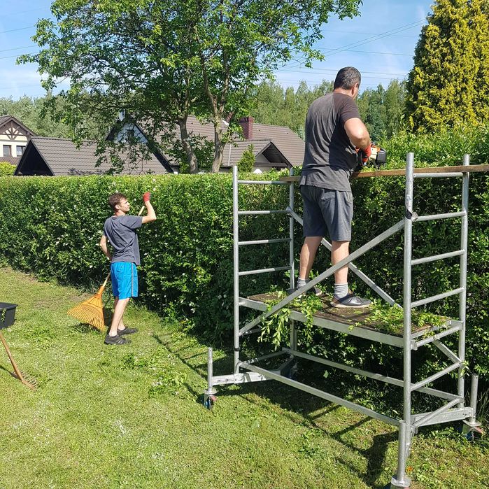 Przycinanie Thui i żywopłotów, modelowaniem i nasadzanie żywopłotów, wywóz ścinek