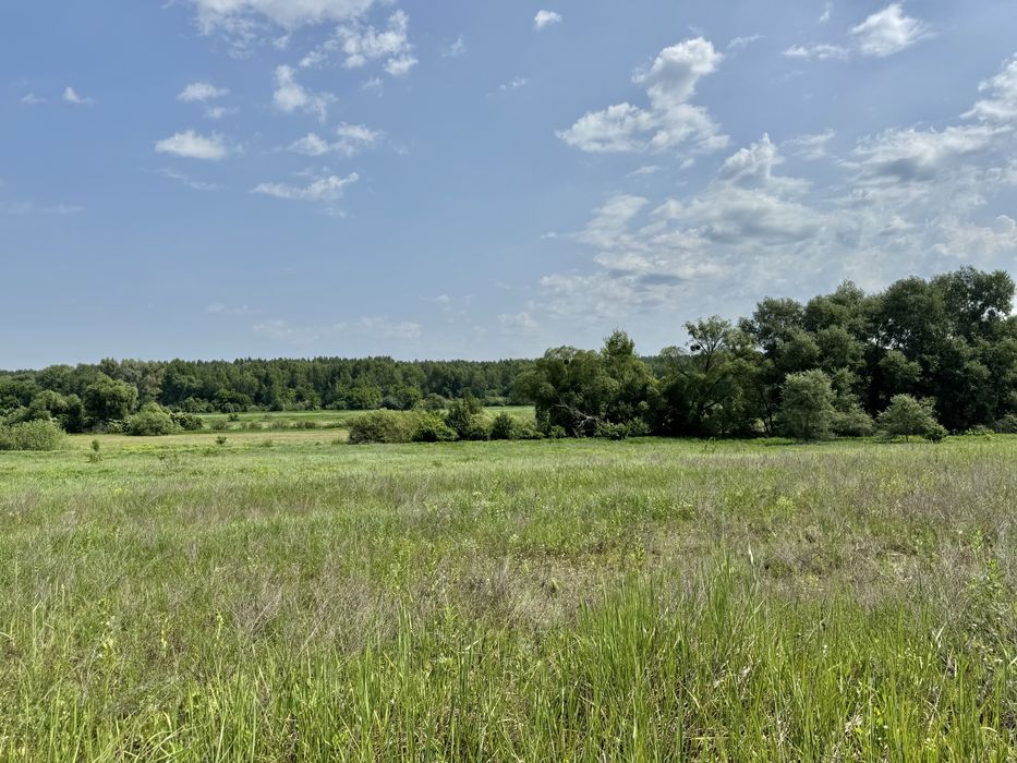 Продам 82сотки землі !!!  с.Мироцьке