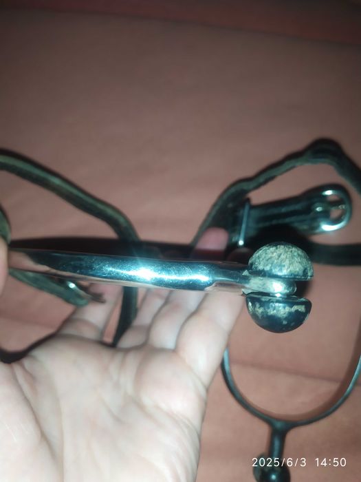 Шпори на взуття для управляння конем