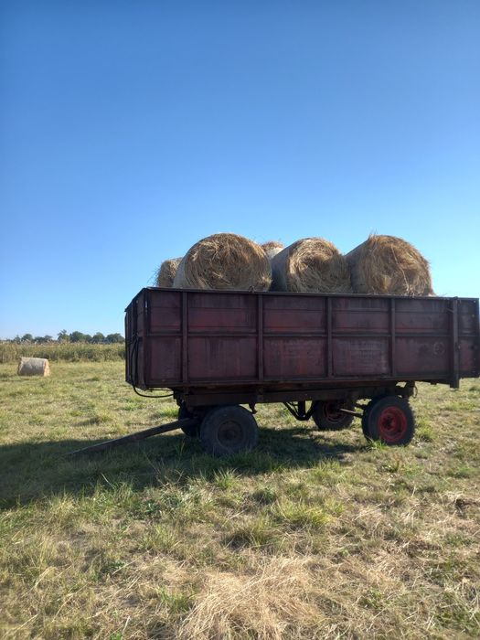 Продам сіно в круглих тюках