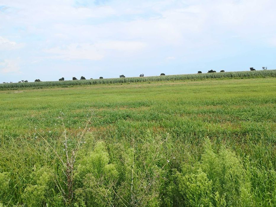 Sprzedam działkę budowlano - usługową
