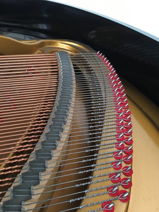 Piano 1/4 cauda Bosendorfer