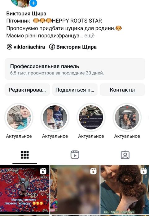 Суперовий хлопчик .Мальтезе