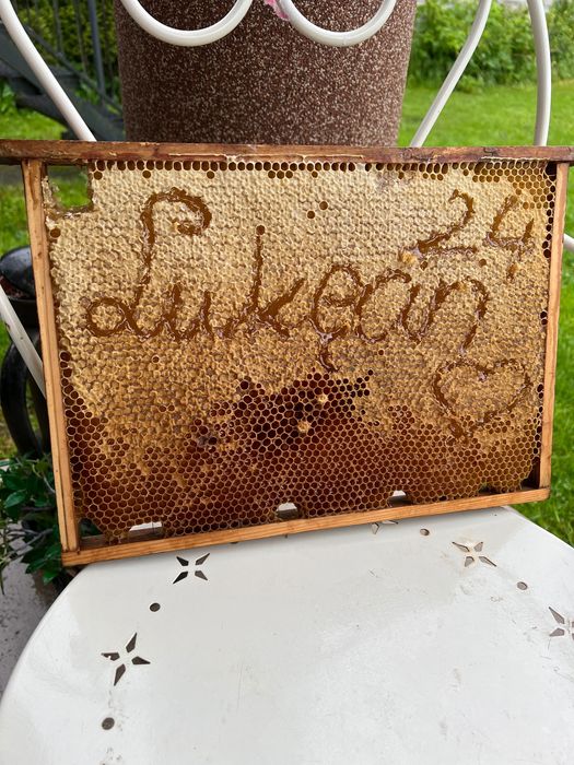 Miód kremowany z Miętą 0,5 kg MyHoney