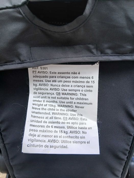 Cadeira de Rua ZY safe- Triumph (3 rodas]