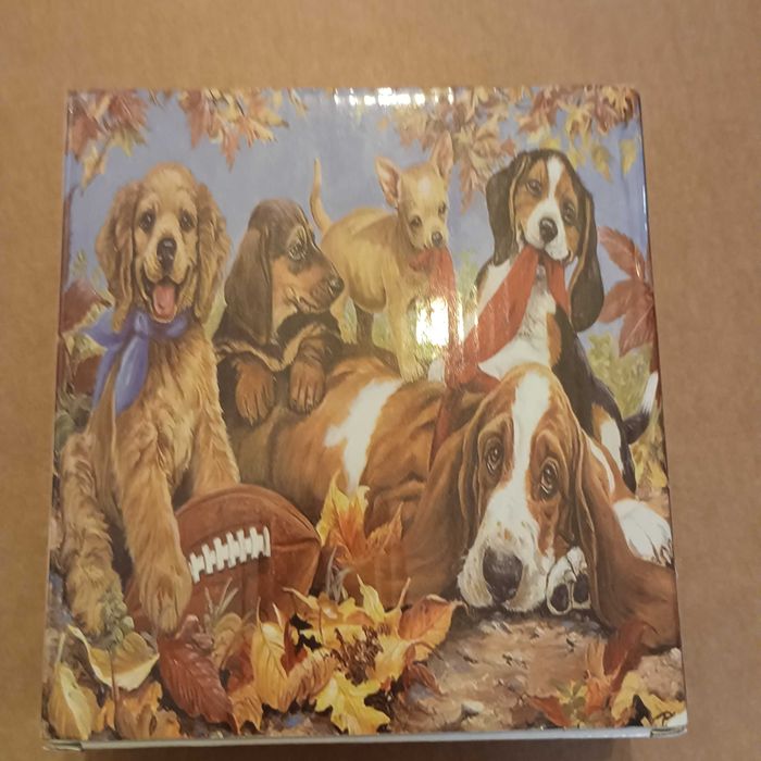 Puzzles 1000 peças