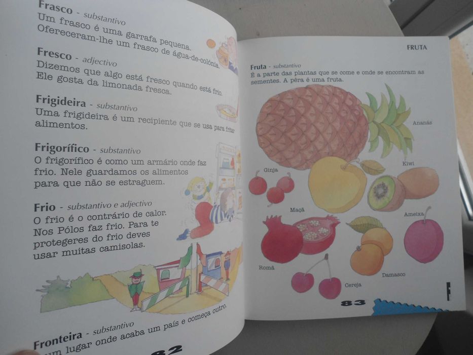 O Meu primeiro dicionário Everest