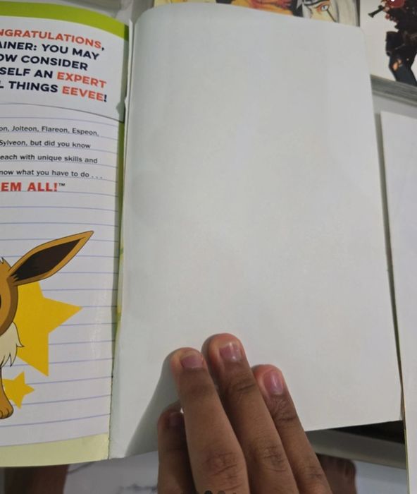 Mangas (Mangá/s) livros japoneses, em portugues stray dog, boku no hero
