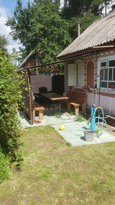 Дача в кооперативе сосновый бор