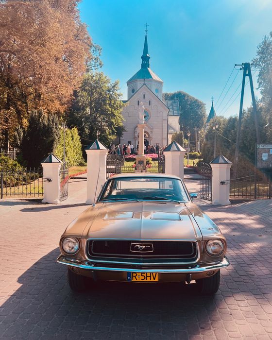 Mustangiem do Ślubu, samochód do ślubu Mustang